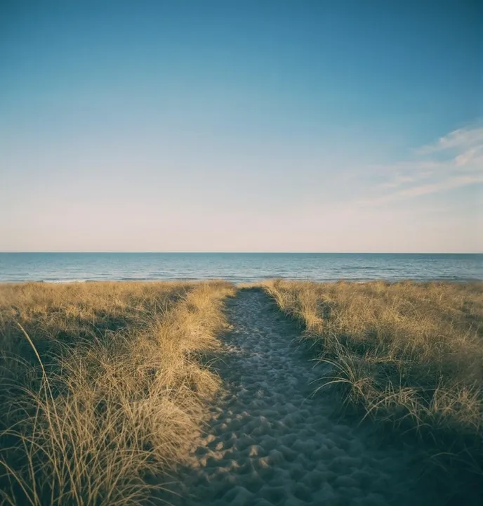 A taller beach path photo